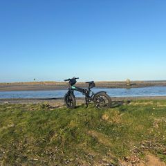 Fiido M1 Pro Electric Folding Bike