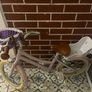 Girls Bike Image 2