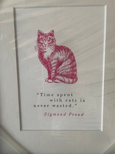Framed Humorous Prints