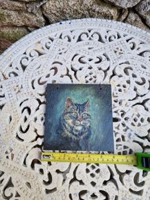 moggy picture on slate