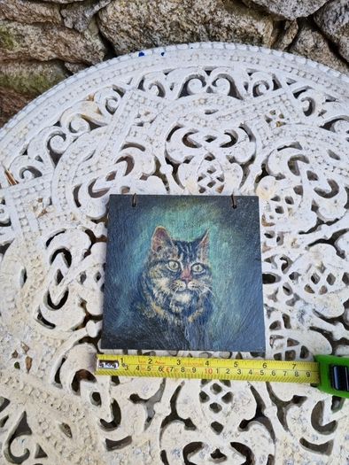 moggy picture on slate