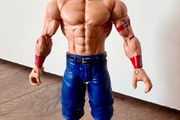 Wwe figure
