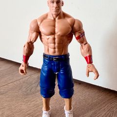 Wwe figure
