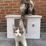 Cat House Outdoor Indoor High quality luxurious double-walled Image 2