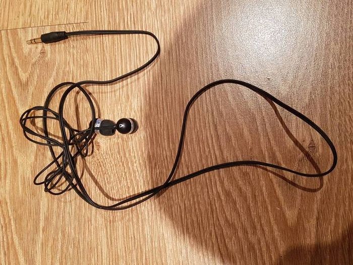 Earphones