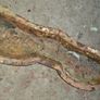 Cast Iron pot holder Image 4