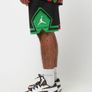 Air Jordan Quai 54 2023 "20 Years In The Game" Shorts Image 4