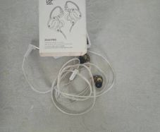 Zs10 Pro Iem