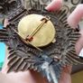 Victorian Connaught Rangers Helmet Plate.88th regiment of foot.Three lugs on reverse. Image 2