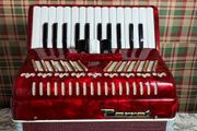 Piano accordion Parrot for kids