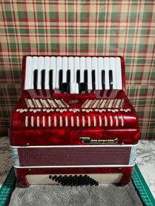 Piano accordion Parrot for kids