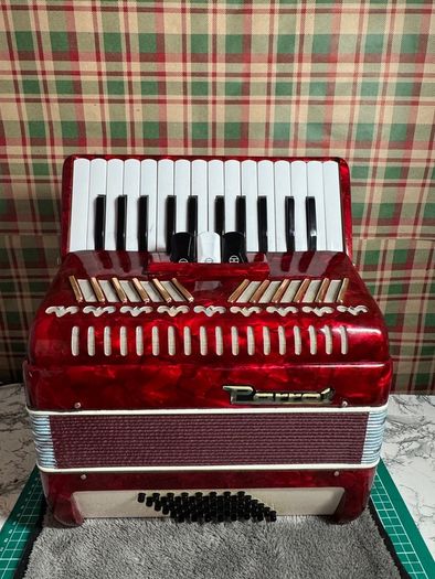Piano accordion Parrot for kids