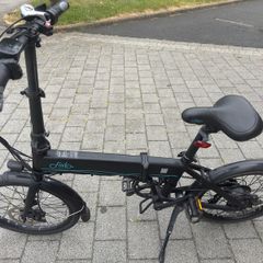 Fiido D4S Folding Electric Bike