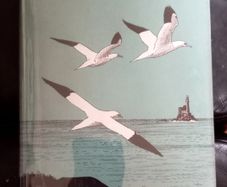 Natural History of Cape Clear Island Book