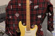 Fender Player Stratocaster with Dimarzio in the Bridge.