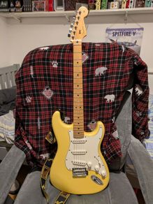 Fender Player Stratocaster with Dimarzio in the Bridge.