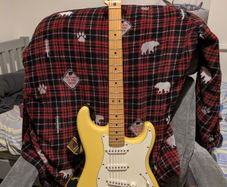 Fender Player Stratocaster with Dimarzio in the Bridge.