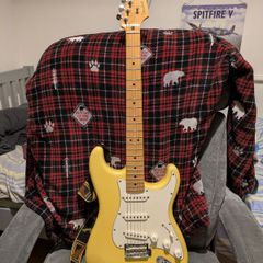 Fender Player Stratocaster with Dimarzio in the Bridge.