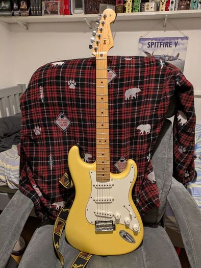 Fender Player Stratocaster with Dimarzio in the Bridge.
