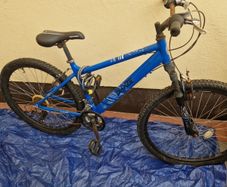 bike needs repair