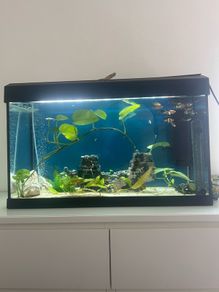 125 Litre Tank Setup