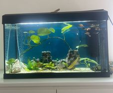 125 Litre Tank Setup