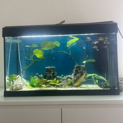 125 Litre Tank Setup