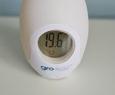 Groegg Room Thermometer