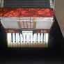 accordion Image 3