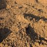 Top soil Image 7