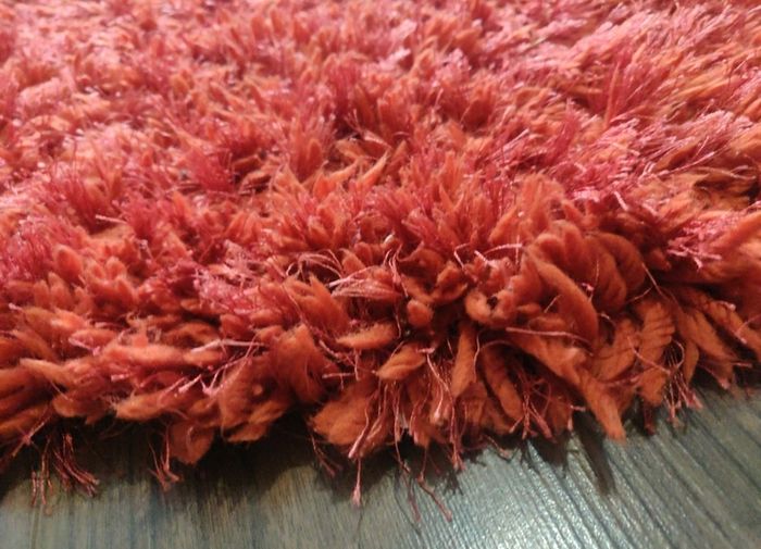 shaggy rug
