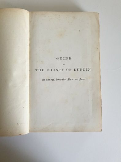 1878 Guide to City and County of Dublin
