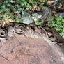 Terracotta Birdbath Image 5