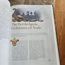 The World Of Shannara. By Terry Brooks And Teresa Patterson. Illustrated By David Cherry. Large Volume Hardback With Dustjacket In Good Condition.  See Photos For Same. Image 9