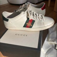 gucci trainers