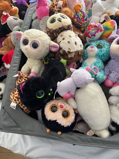 beanie boos