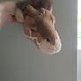 3 x Animal Wall Teddy Image 5