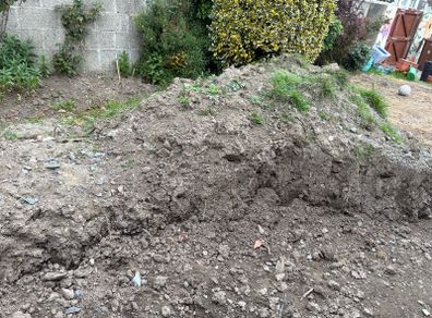 Top Soil