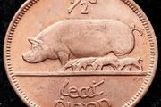 [#63..] - Ireland 1967 | Irish 1/2d | Irish Half Penny | KM.10 | UNC