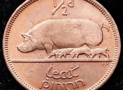[#63..] - Ireland 1967 | Irish 1/2d | Irish Half Penny | KM.10 | UNC
