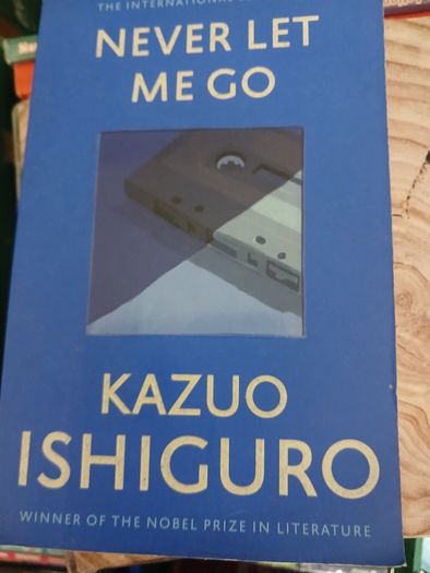 Never Let Go LC Novel