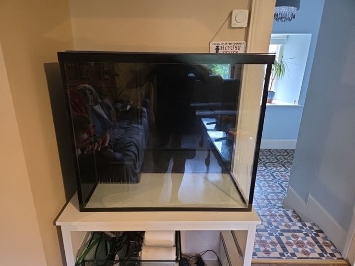 marine fish