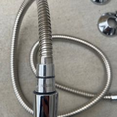 Triton  shower head and hose