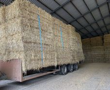 Barley straw 8x4x3