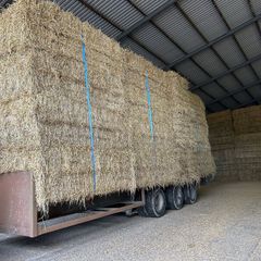 Barley straw 8x4x3