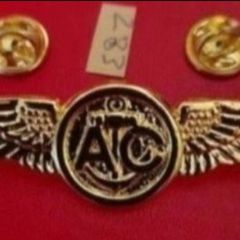 United states, naval avation wings ,,(283)