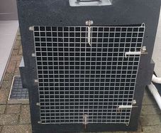 Dogs transport box