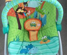 Bright Starts Jungle Baby Bouncer