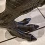 jurassic world dinosaur Image 8