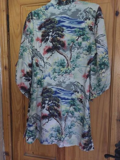 Oriental mini dress/top (free post)